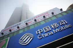 （1分钟教程）洛阳市公司电话_哔哩哔哩-2